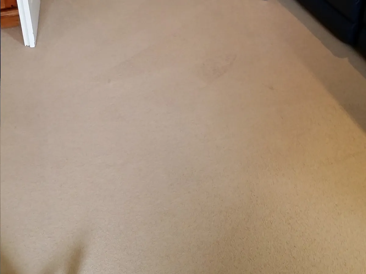 Lounge carpet after professional cleaning