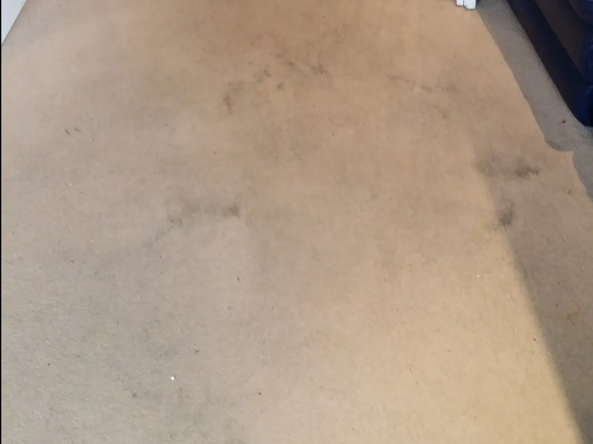 Lounge carpet before cleaning